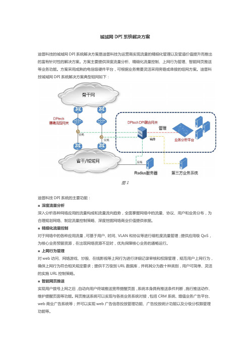 城域网DPI系统解决方案