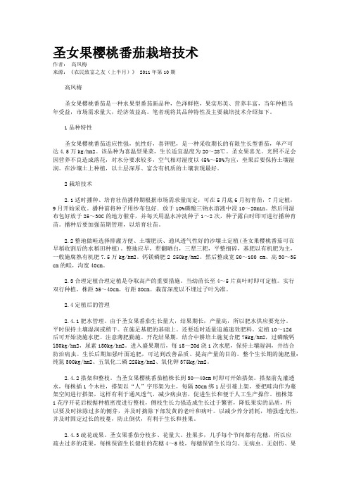 圣女果樱桃番茄栽培技术