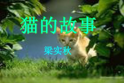 猫的故事PPT课件15 北师大版 (共13张PPT)