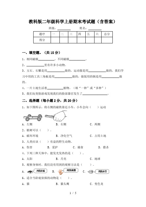 教科版二年级科学上册期末考试题(含答案)