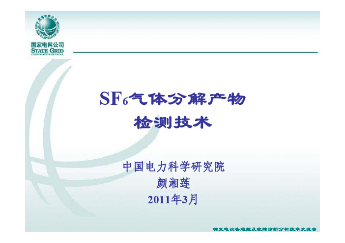 1-中国电科院-SF6气体检测培训