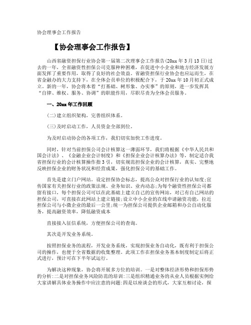 协会理事会工作报告
