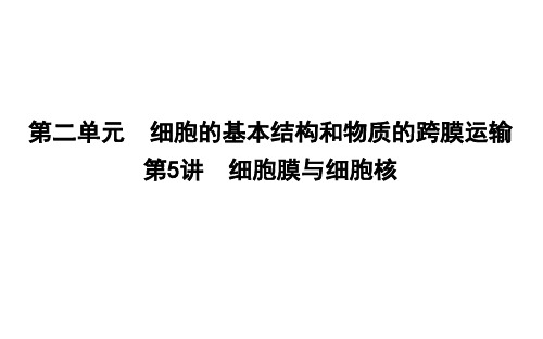2020版高考生物人教版第二单元 细胞的基本结构和物质的跨膜运第5讲 细胞膜与细胞核