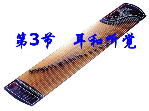 13耳和听觉(第一课时)精品PPT课件