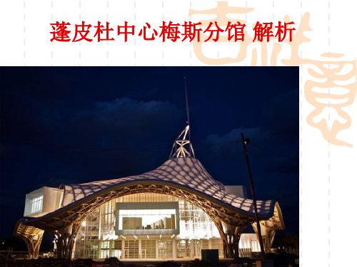 蓬皮杜中心梅斯分析