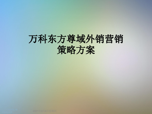 万科东方尊域外销营销策略方案