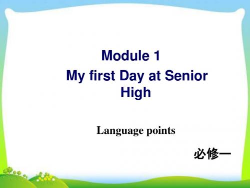 新外研版高中英语必修一 Module 1 Languague points教学课件