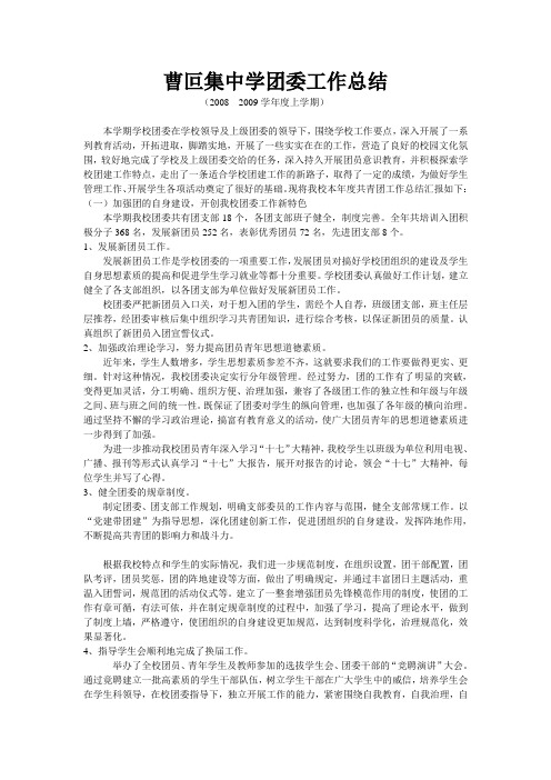 曹叵集中学团委工作总结