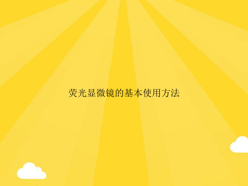 【优质】荧光显微镜的基本使用方法PPT