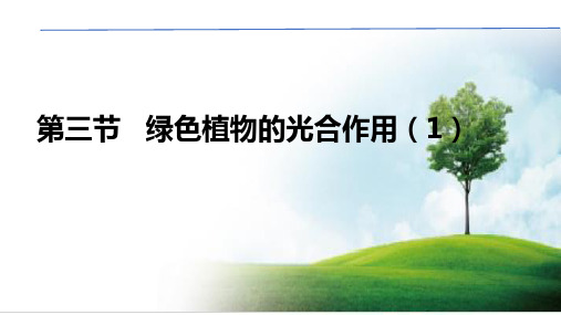 济南版生物七件级上册《绿色植物的光合作用》课件