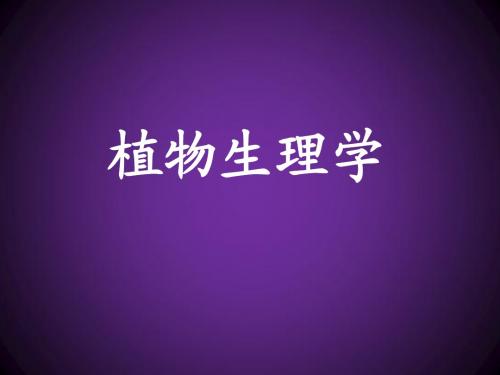 光合作用