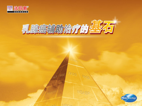 表柔比星(法玛新)乳腺癌治疗