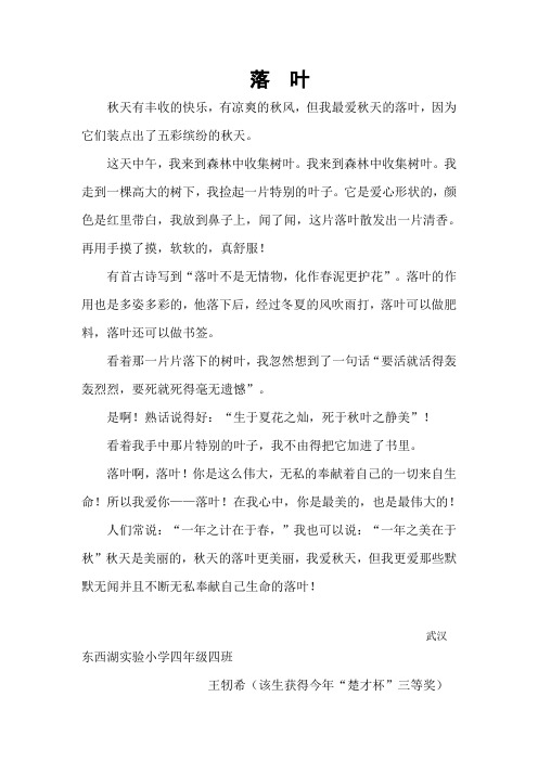 落叶