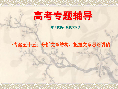 考纲解读_分析结构、把握思路_文学类(精品)_公开课