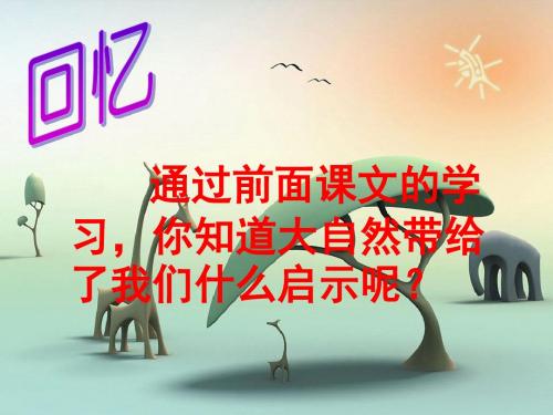 12大自然的启示 课件