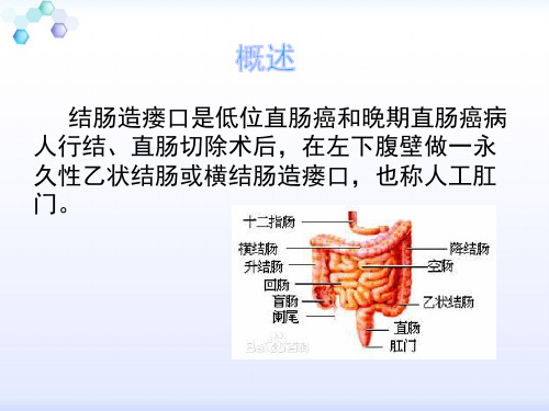 结肠造瘘口的护理