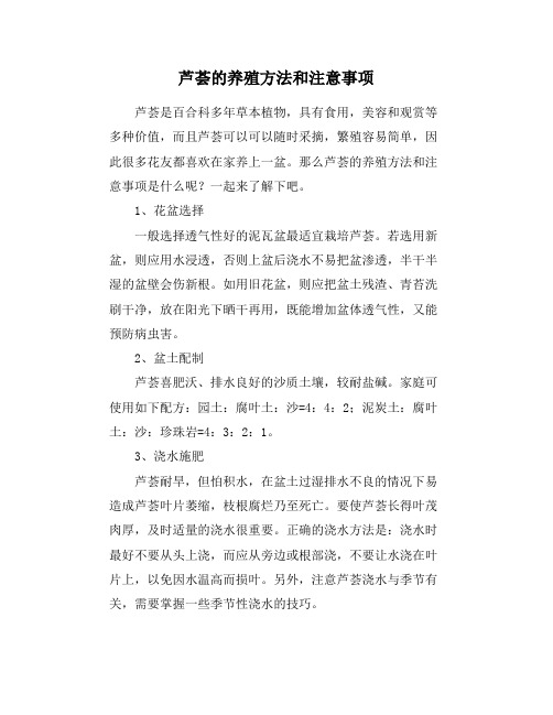 芦荟的养殖方法和注意事项