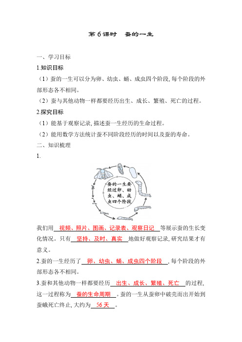 教科版科学三年级下册学案 第6课时 蚕的一生 (答案版)