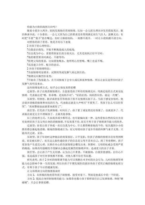 2岁宝宝的情绪指南针