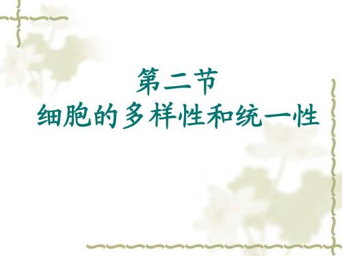 第二节细胞的多样性和统一性