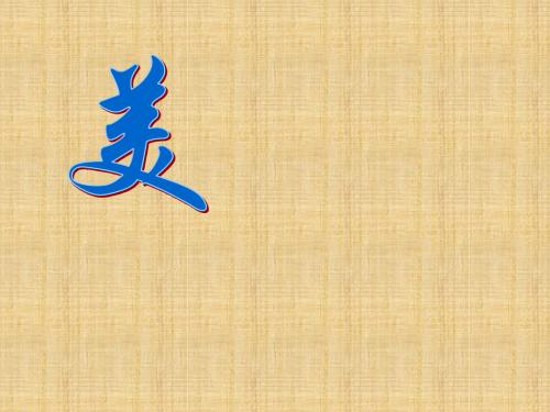 论美教学课件PPT(2)