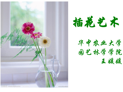 插花艺术 第一章 插花艺术概述