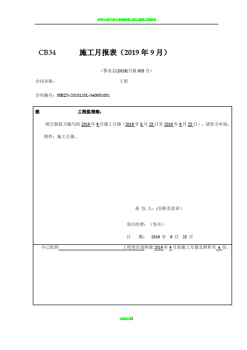 工程施工月报(2019年)