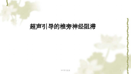 超声引导椎旁神经阻滞课件