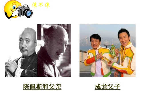 济南版八年级生物上册 4.1遗传的物质基础 课件(20张ppt)