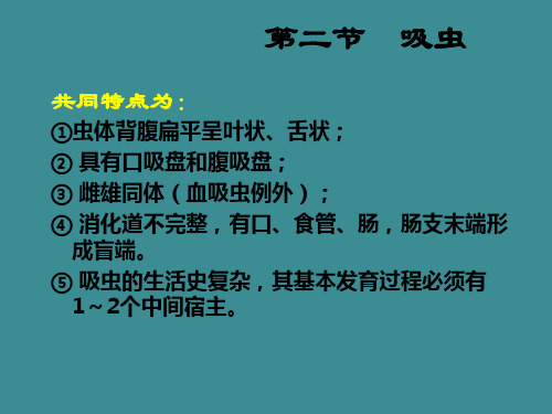 吸虫的概述