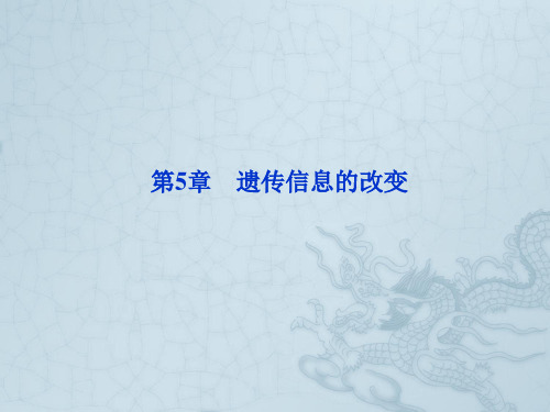 【优化方案】高考生物 第5章第1节遗传信息的改变精品课件 北师大版必修2