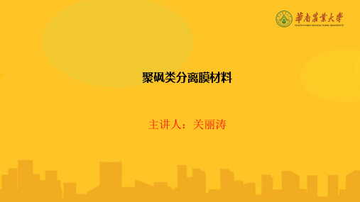 聚砜类分离膜材料PPT资料优秀版