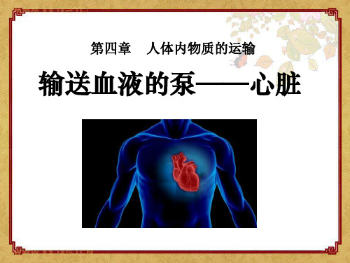 《输送血液的泵-心脏》人体内物质的运输PPT  图文