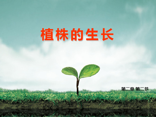 人教版七年级上册生物3.2.2植株的生长说课课件(共18张PPT)