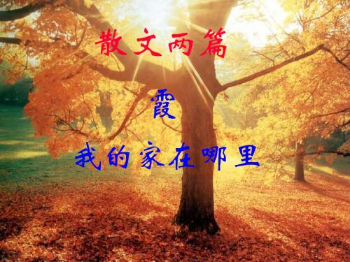 【高中语文】散文两篇·霞·我的家在哪里ppt精品课件25