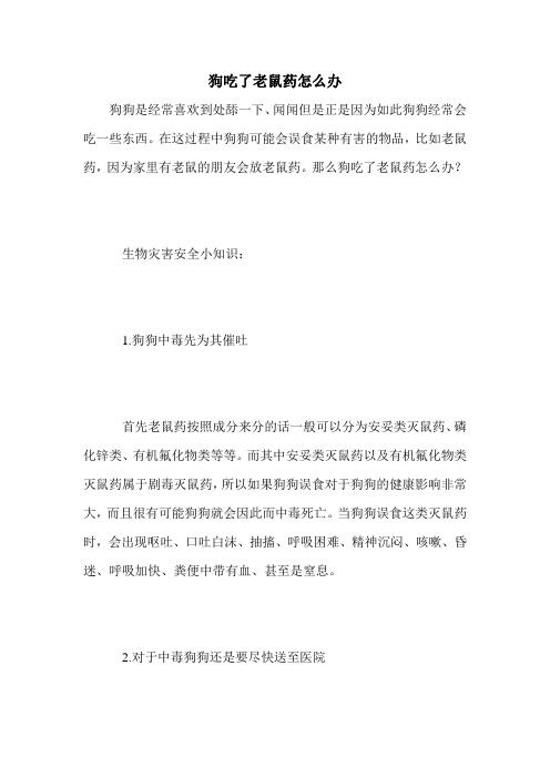 狗吃了老鼠药怎么办