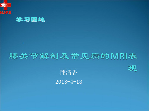 学习_膝关节MRI解剖副本