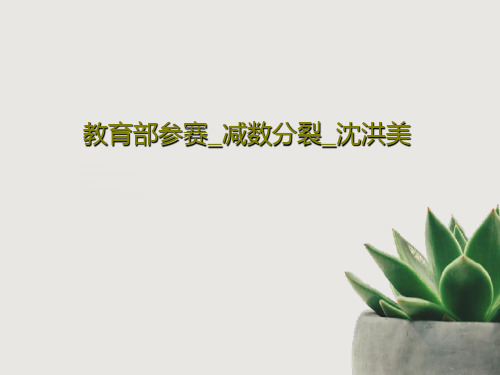教育部参赛_减数分裂_沈洪美共31页