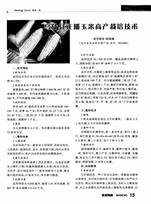 播玉米高产栽培技术