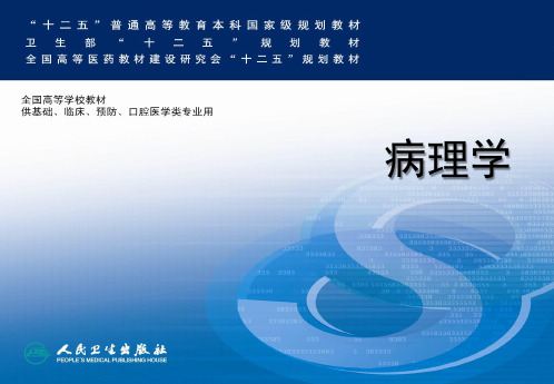 病理学-传染病