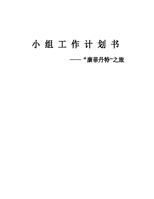 小组工作策划书