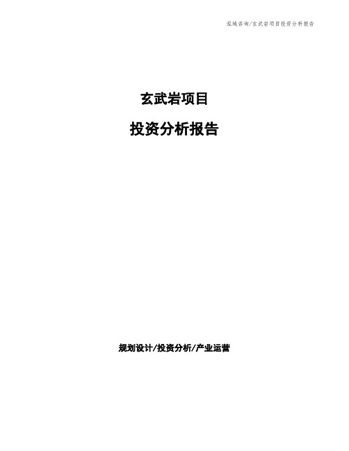 玄武岩项目投资分析报告