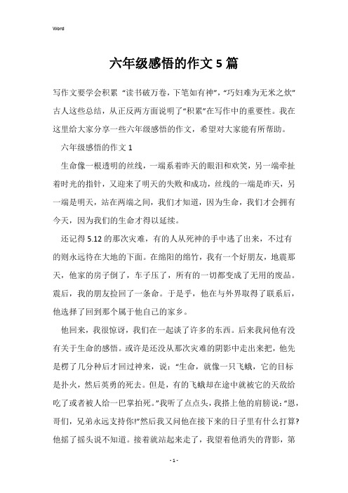 六年级感悟的作文5篇
