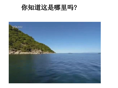 音乐《非洲的灵感_》ppt
