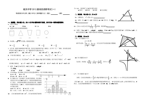 湖北竹溪城关中学2013届中考数学培优调研考试试题(一)