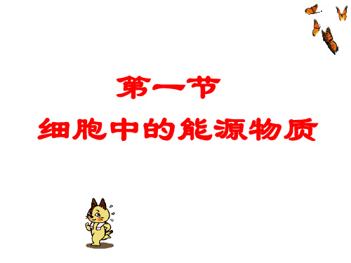 能源物质