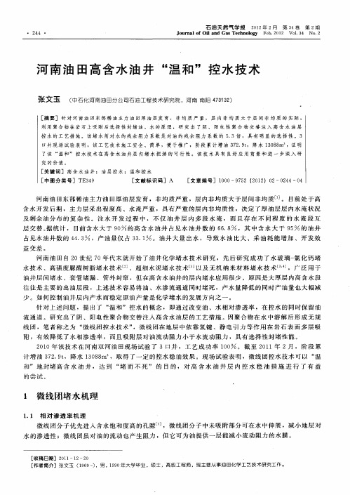 河南油田高含水油井“温和”控水技术