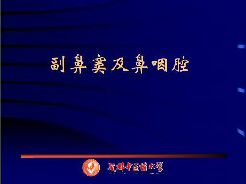 鼻和鼻窦CT解剖 ppt课件