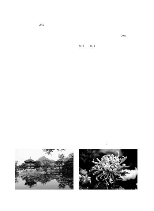 新会计制度执行中存在的问题与改进建议