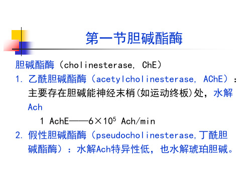 第七章 抗胆碱酯酶药和胆碱酯酶复活药_PPT幻灯片